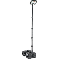 9490 Remote Area Lighting Systems, LED, 53.3 W, 6000 Lumens, Plastic Housing TGS INDUSTRIEL