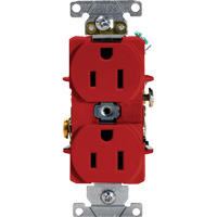 Prise double de calibre industriel TGS INDUSTRIEL
