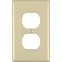Duplex Wall Plate TGS INDUSTRIEL