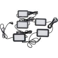 LED String Work Lights, 5 Lights, 50' L, Plastic Housing TGS INDUSTRIEL