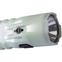 Flashlight, LED, 378 Lumens, AA Batteries TGS INDUSTRIEL