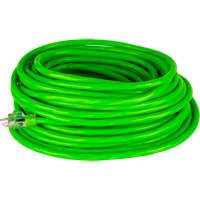 Industrial Extension Cord, All-Weather, SJTW, 10/3 AWG, 15 A, 50' TGS INDUSTRIEL