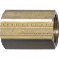 Raccord de tuyau, Laiton, 3/8" TGS INDUSTRIEL